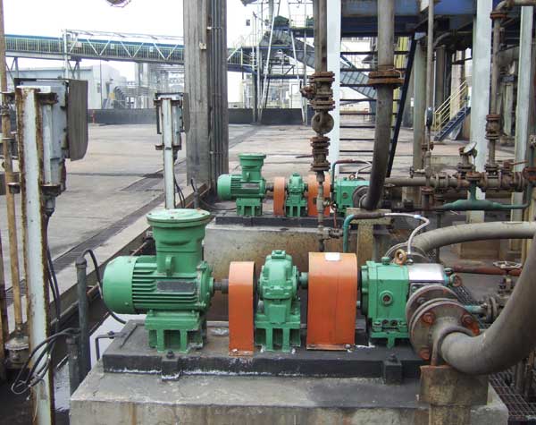 转子泵和齿轮油泵