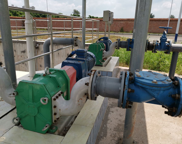 污泥泵选择转子泵还是螺杆泵
